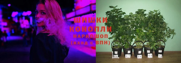 дурь Балахна